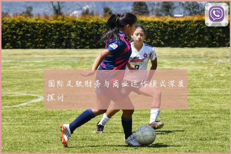 国际足联财务与商业运作模式深度探讨