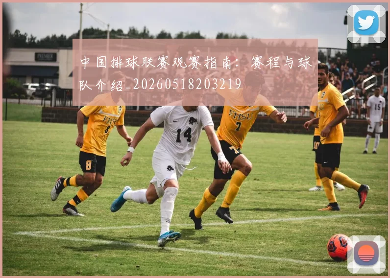 中国排球联赛观赛指南:赛程与球队介绍_20260518203219